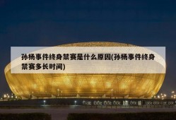 孙杨事件终身禁赛是什么原因(孙杨事件终身禁赛多长时间)