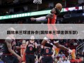 国际米兰球迷协会(国际米兰球迷俱乐部)