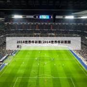 2014世界杯彩票(2014世界杯彩票图片)