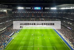2014世界杯彩票(2014世界杯彩票图片)