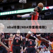 nba特里(NBA特里戴维斯)