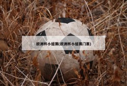 欧洲杯小组赛(欧洲杯小组赛门票)