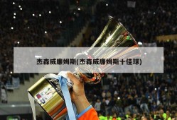 杰森威廉姆斯(杰森威廉姆斯十佳球)