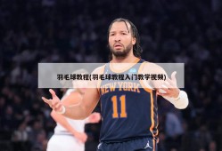 羽毛球教程(羽毛球教程入门教学视频)