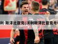 沃利-斯泽比亚克(沃利斯泽比亚克号码)