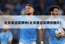北京奥运奖牌榜(北京奥运奖牌榜图片)