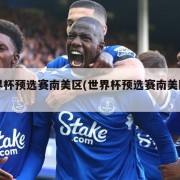 世界杯预选赛南美区(世界杯预选赛南美区名额)
