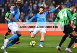 乌拉圭vs阿根廷(乌拉圭vs阿根廷集锦)
