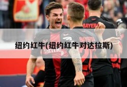 纽约红牛(纽约红牛对达拉斯)