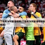 丁俊晖为何娶潘晓婷(丁俊晖为何娶潘晓婷的原因)