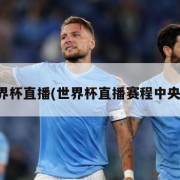 世界杯直播(世界杯直播赛程中央台)