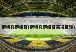 斯特凡萨维奇(斯特凡萨维奇实况足球)