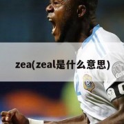 zea(zeal是什么意思)