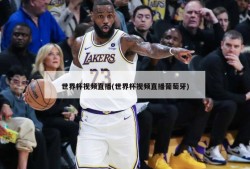 世界杯视频直播(世界杯视频直播葡萄牙)