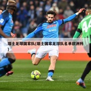 瑞士足球国家队(瑞士国家足球队名单欧洲杯)