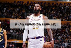 阿扎尔加盟皇马(阿扎尔加盟皇马转会费)