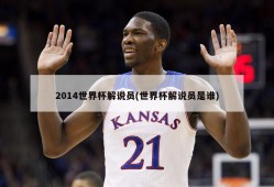 2014世界杯解说员(世界杯解说员是谁)