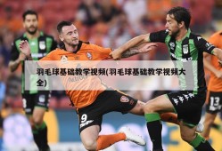 羽毛球基础教学视频(羽毛球基础教学视频大全)