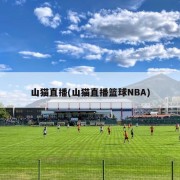 山猫直播(山猫直播篮球NBA)