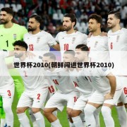 世界杯2010(朝鲜闯进世界杯2010)