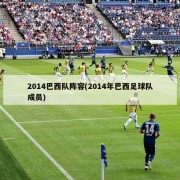 2014巴西队阵容(2014年巴西足球队成员)