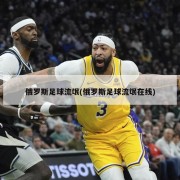 俄罗斯足球流氓(俄罗斯足球流氓在线)