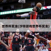 世界杯奖金(沙特游戏世界杯奖金)