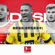 南野拓实(南野拓实高中)