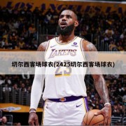 切尔西客场球衣(2425切尔西客场球衣)