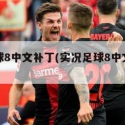 实况足球8中文补丁(实况足球8中文解说补丁)