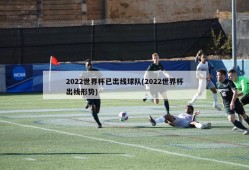 2022世界杯已出线球队(2022世界杯出线形势)