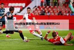 nba附加赛规则(nba附加赛规则2023)