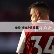 哈珀(哈珀身高臂展)