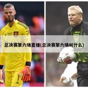 总决赛第六场直播(总决赛第六场叫什么)