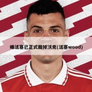 曝活塞已正式裁掉沃克(活塞wood)