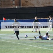 艾尔哈灵顿(艾尔哈灵顿公司价值十亿美金)