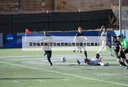 艾尔哈灵顿(艾尔哈灵顿公司价值十亿美金)