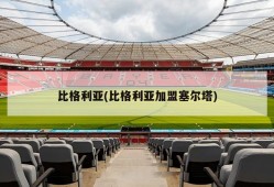 比格利亚(比格利亚加盟塞尔塔)
