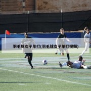 羽毛球女子单打(羽毛球女子单打视频)