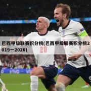 巴西甲级联赛积分榜(巴西甲级联赛积分榜2019一2020)