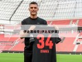 伊比塞维奇(伊比尼伊赛)