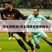 羽毛球男双(羽毛球男双世界排名)