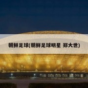 朝鲜足球(朝鲜足球明星 郑大世)