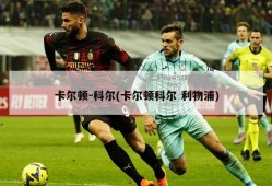 卡尔顿-科尔(卡尔顿科尔 利物浦)
