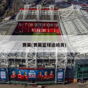 贾昊(贾昊篮球运动员)