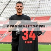 切尔西报价张琳芃(2020切尔西)