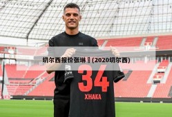 切尔西报价张琳芃(2020切尔西)