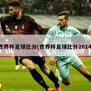 世界杯足球比分(世界杯足球比分2014)