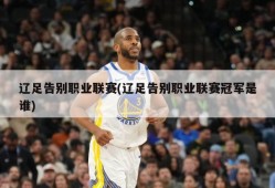 辽足告别职业联赛(辽足告别职业联赛冠军是谁)
