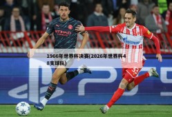 1966年世界杯决赛(2026年世界杯48支球队)
